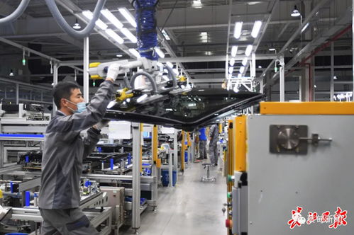 偉巴斯特武漢工廠提前三月投產，區域外資集聚效應凸顯